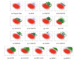 Binary imbalanced data classification based on diversity oversampling by generative models